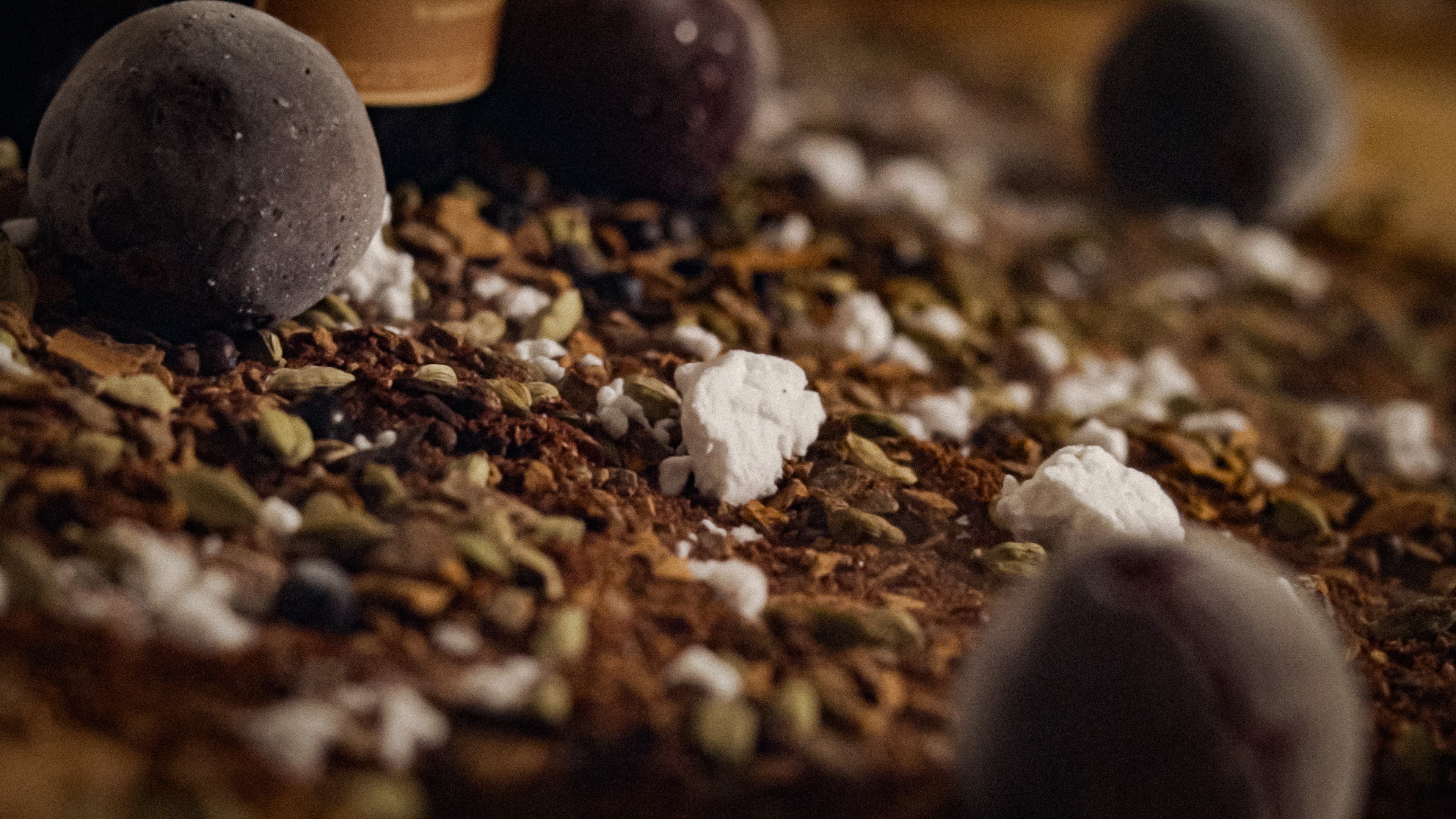 plume - harnessing the flavours of winter