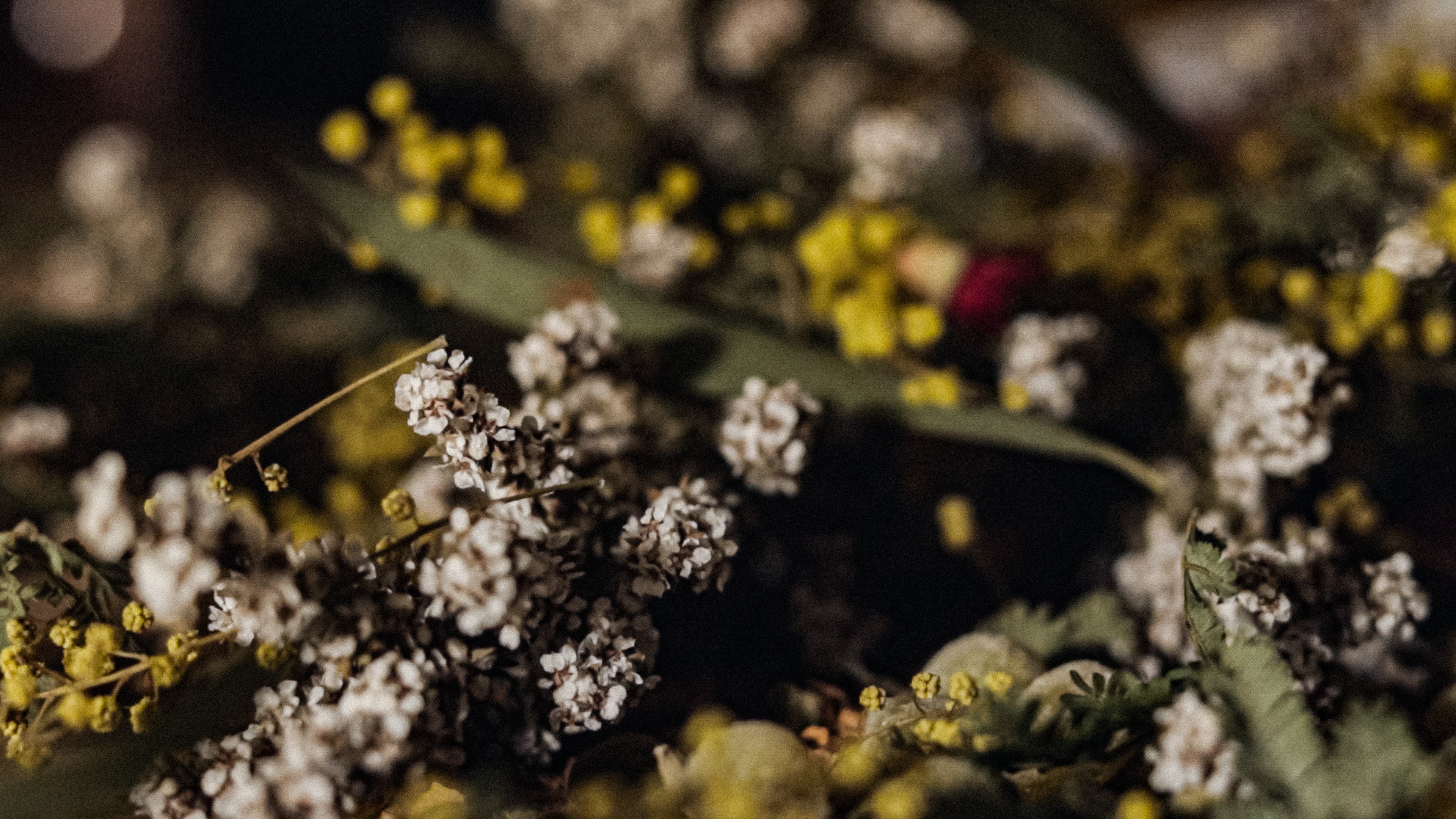 flourish - just in time for spring