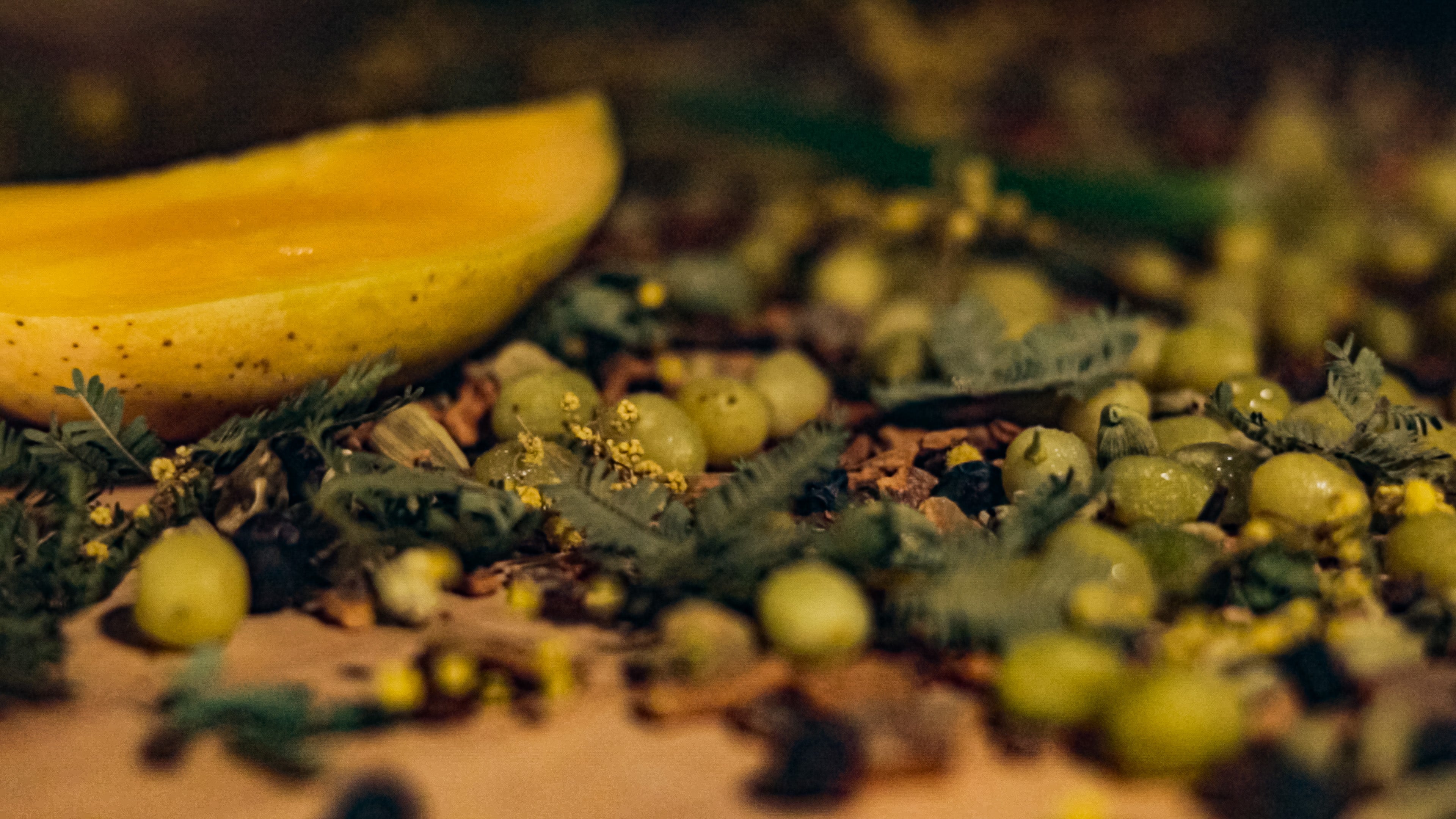 ripple - our expression of summer