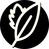 AW_Peppermint_Leaf_04d13075-60e9-4217-a29f-7bc207bd44c4.png