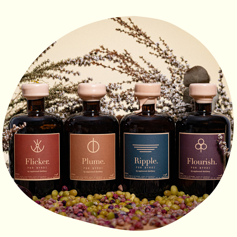 Applewood x Byrdi: Changing Seasons Four Pack bottle