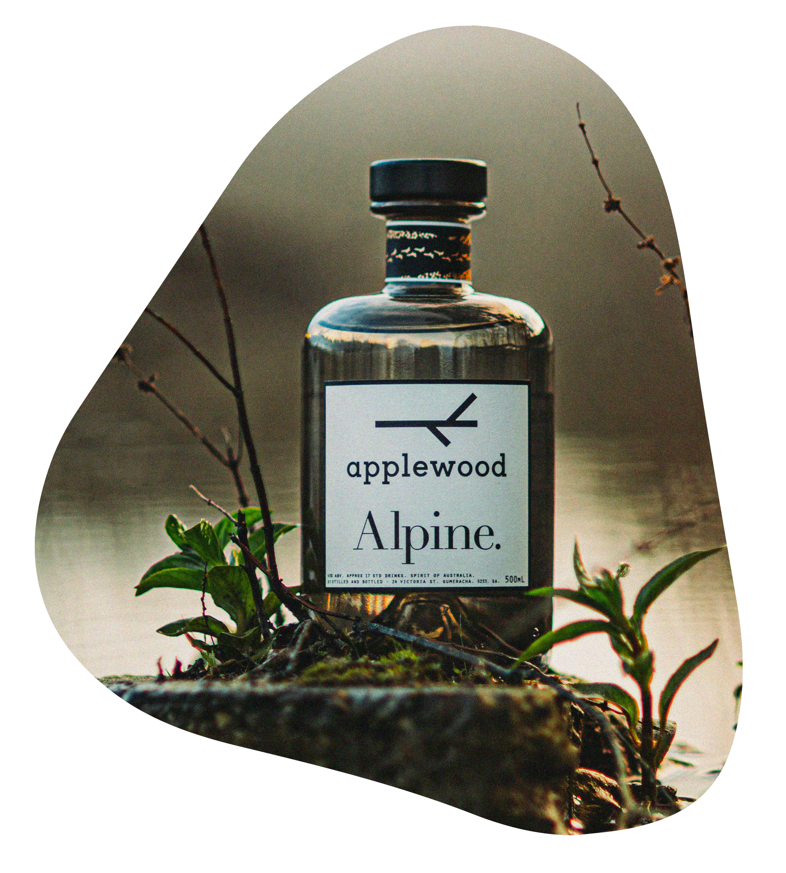 Alpine Gin