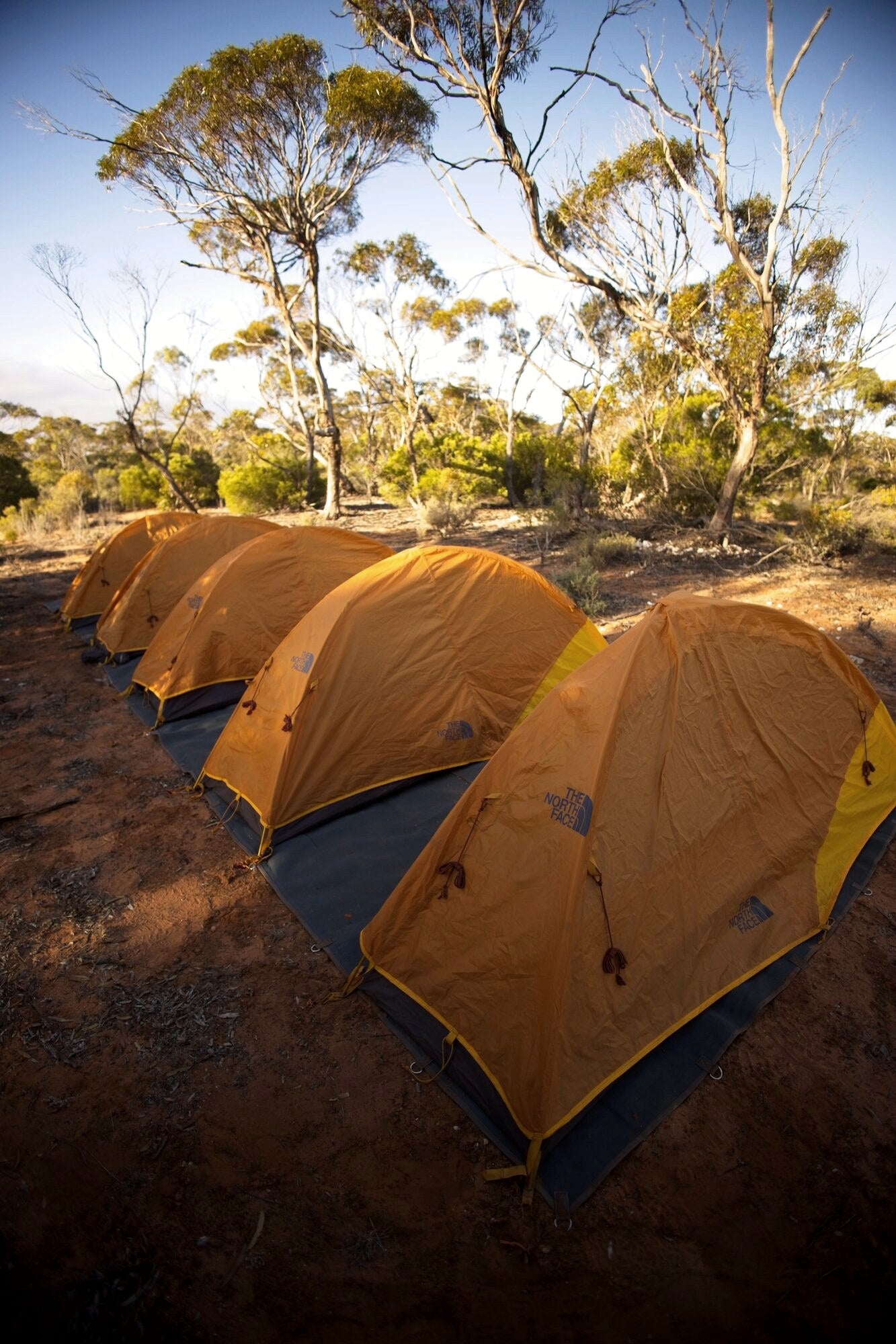 Expedition camp in the scrub
